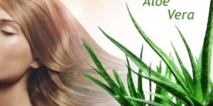 beneficios do aloe vera para o cabelo