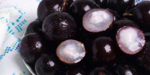 Caroço da Jabuticaba