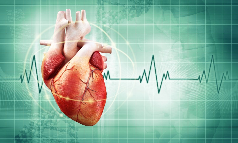 Palpitações cardíacas: o que é, sintomas e tratamentos