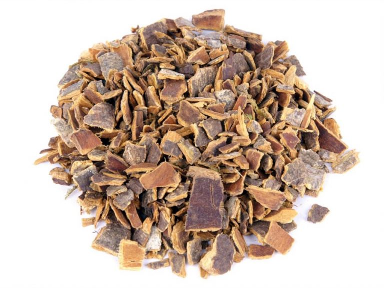 Chá de Cáscara Sagrada O que é, como consumir, benefícios e receitas Cura Natural