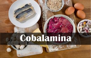 Cobalamina: o que é, para que serve, benefícios e malefícios