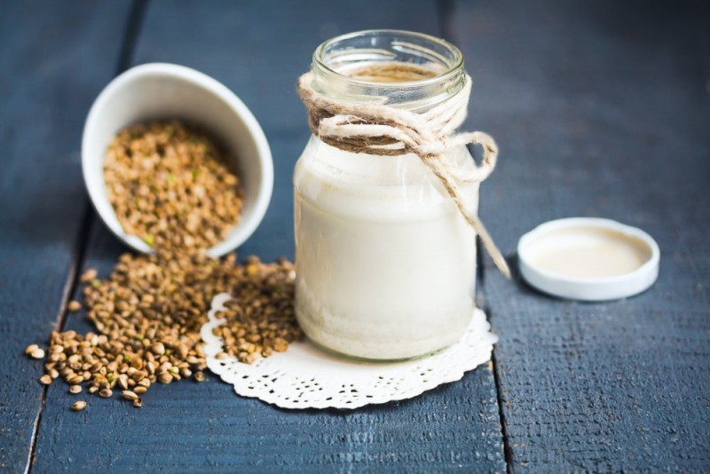 quais os benefícios do leite de cânhamo?