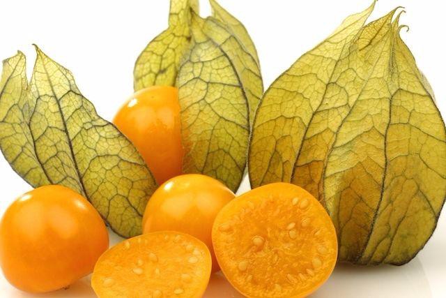 Physalis previne anemia: 15 benefícios dessa fruta