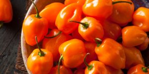 beneficios da pimenta de habanero