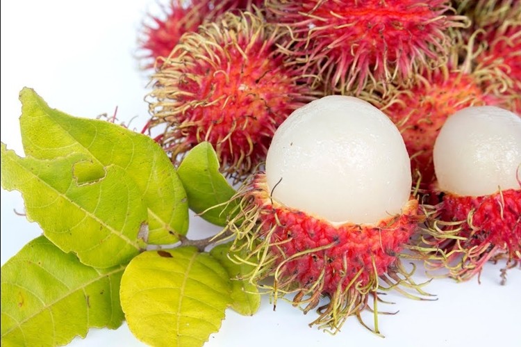 Suco de rambutan faz bem para a pele: veja 15 benefícios do suco