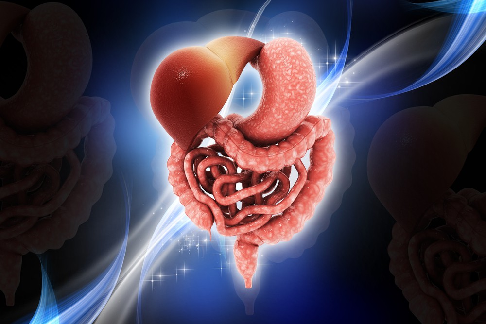 Síndrome do intestino irritável: o que é, causas, sintomas e tratamento