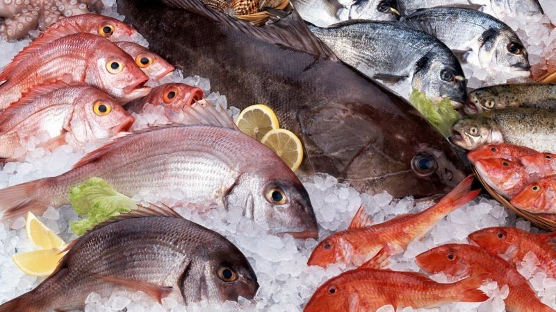 6 Tipos de Peixe que auxiliam na Perda de Peso