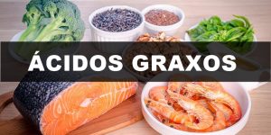 acidos graxos