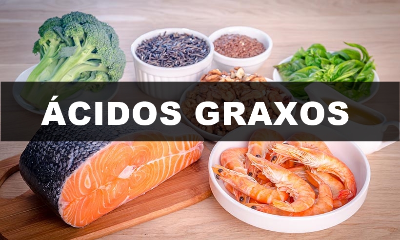 acidos graxos