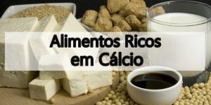 alimentos ricos em calcio