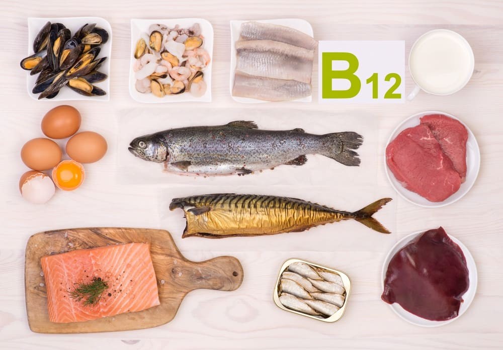 alimentos ricos em vitamina b12