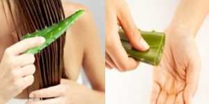 receitas de aloe vera para eliminar a caspa