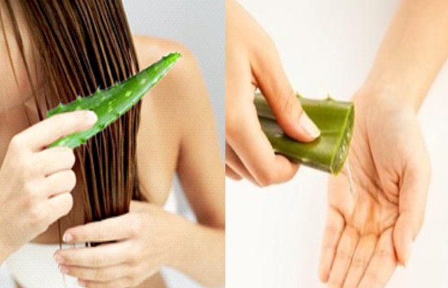 receitas de aloe vera para eliminar a caspa