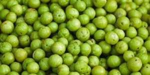 amla