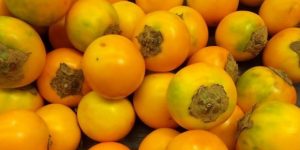 beneficios da naranjilla