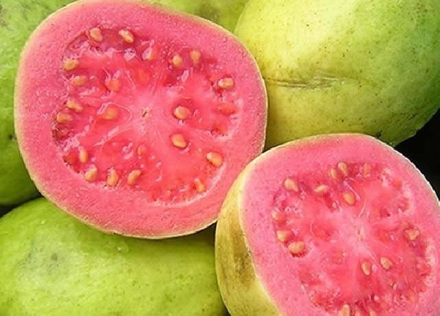 Semente de goiaba combate a constipação: veja 10 benefícios da fruta