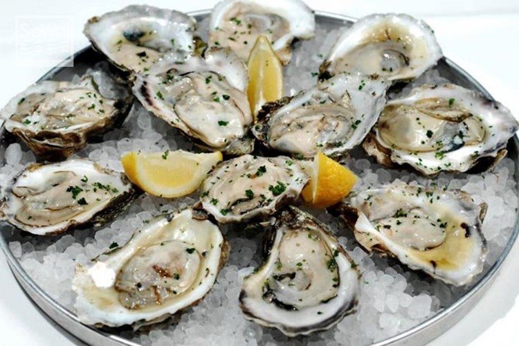 quais os benefícios das ostras?