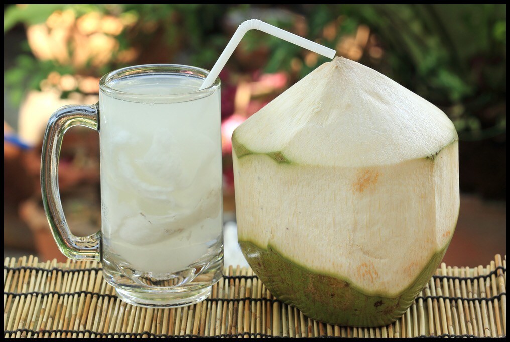 Beber água de coco ajuda a perder peso: veja 19 benefícios