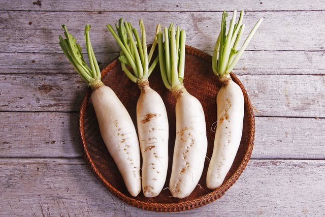 Rabanete daikon é bom para imunidade: veja 30 benefícios