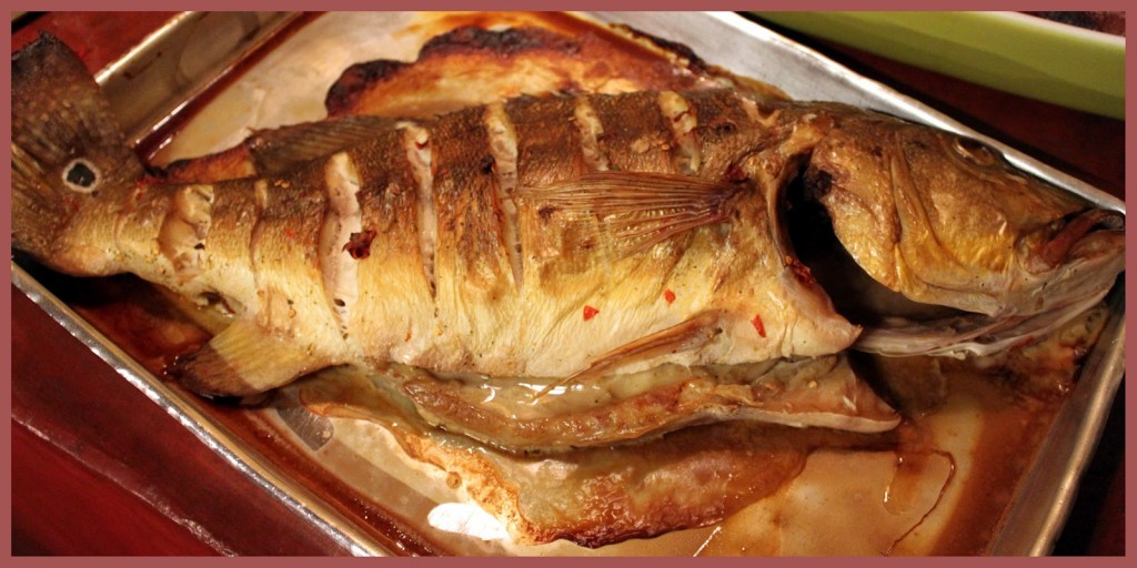 Tucunaré peixe