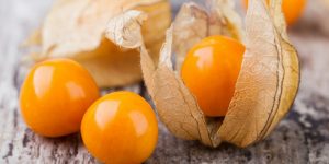 beneficios da Physalis