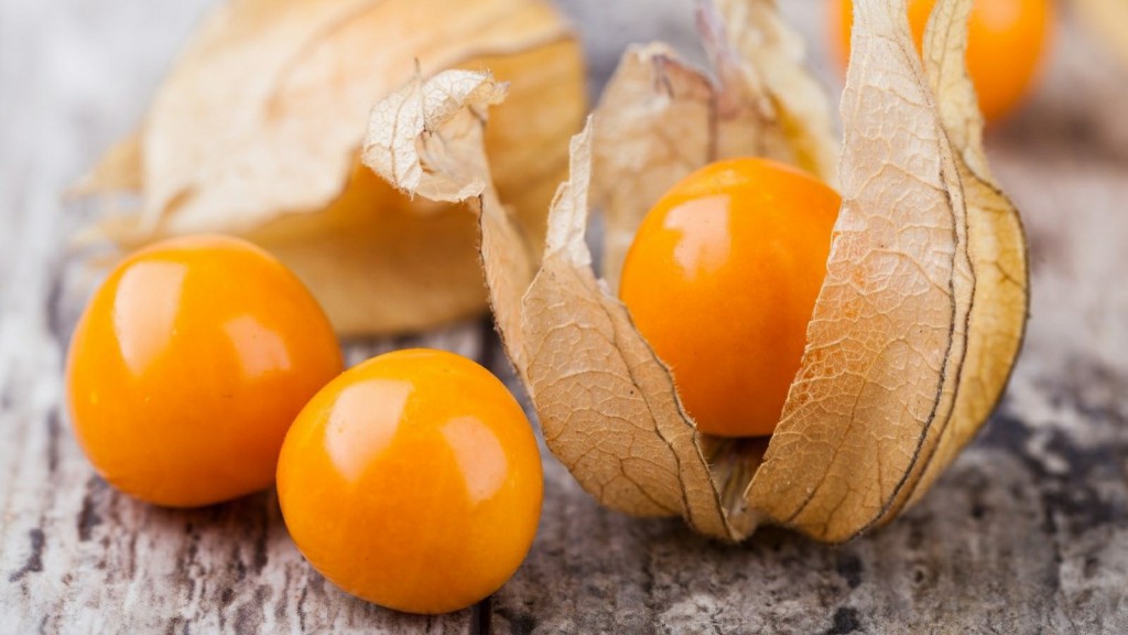 beneficios da Physalis