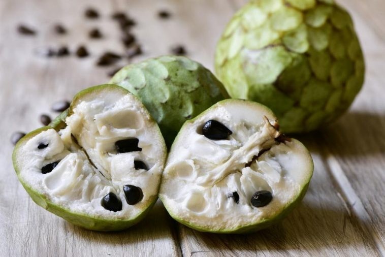 benefícios da cherimoia à saúde