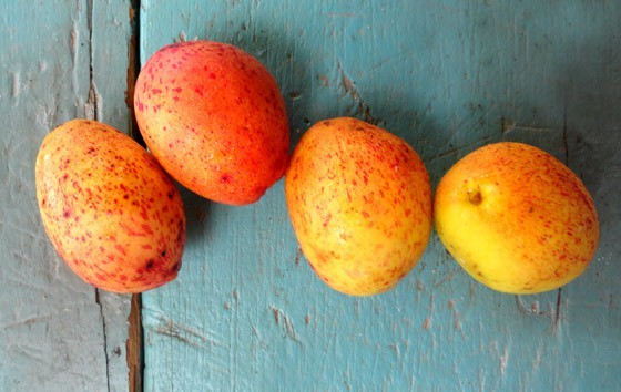 Mangabinha fortalece imunidade, combate anemia: veja 10 benefícios da fruta