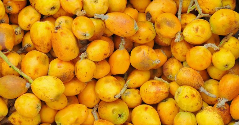 beneficios da marula