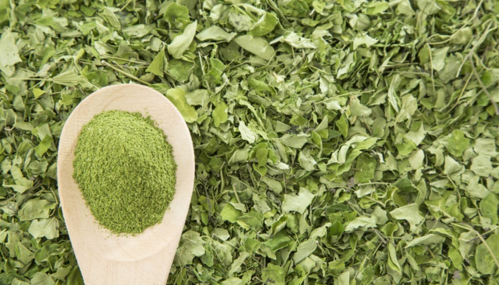 a moringa pode melhorar a saúde do seu coração