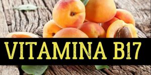 beneficios da vitamina b17