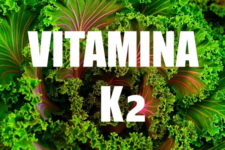 Os 12 Benefícios da Vitamina K2 Para Saúde Cura Natural Os 12 Benefícios da Vitamina K2 Para Saúde Cura Natural