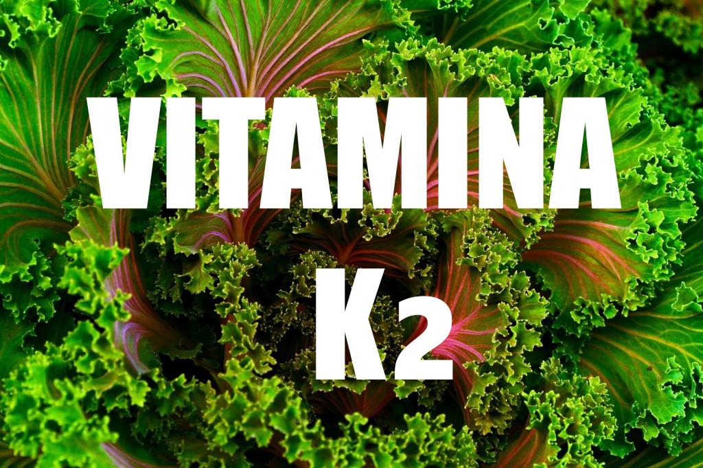 beneficios da vitamina k2