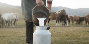 beneficios do leite de egua