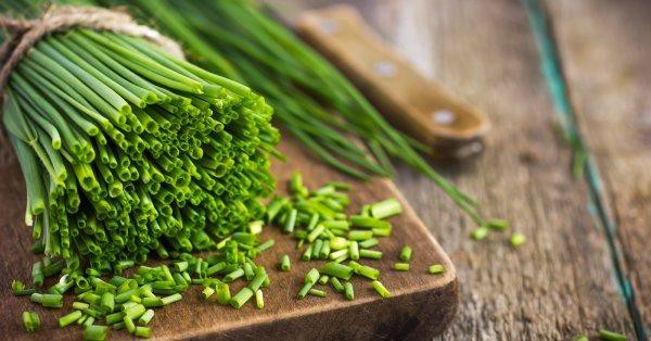 Cheiro verde é bom para os osso: veja 30 benefícios