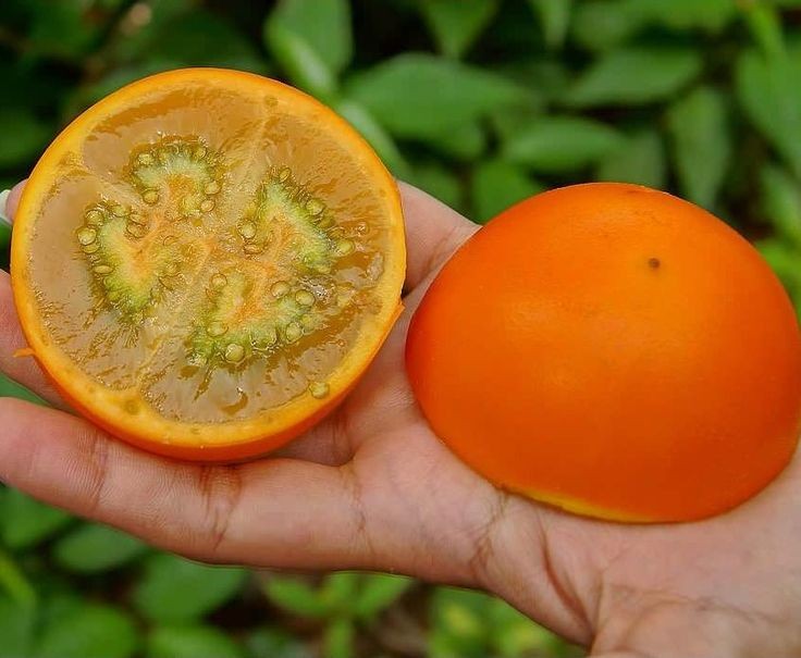 Lulo faz bem para a visão: veja 8 benefícios da fruta