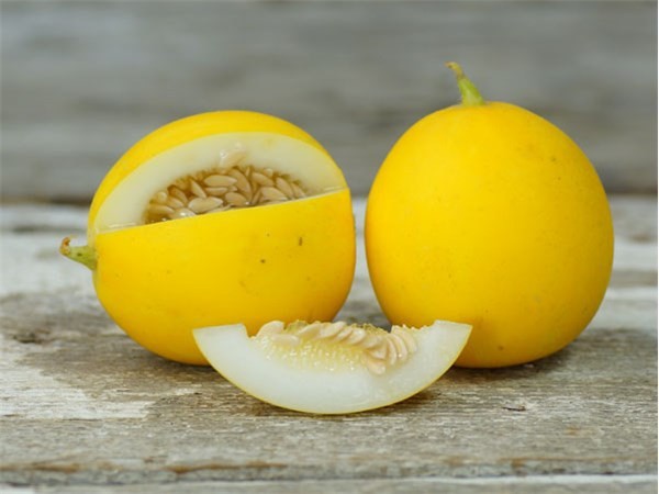 Melão auxilia na perda de peso: veja 11 benefícios da fruta