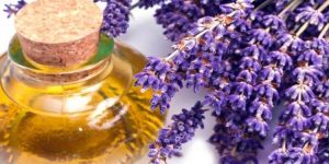 beneficios do óleo de lavanda