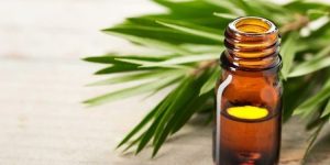 oleo de melaleuca beneficios