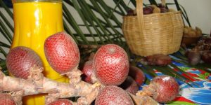 beneficios do suco de buriti