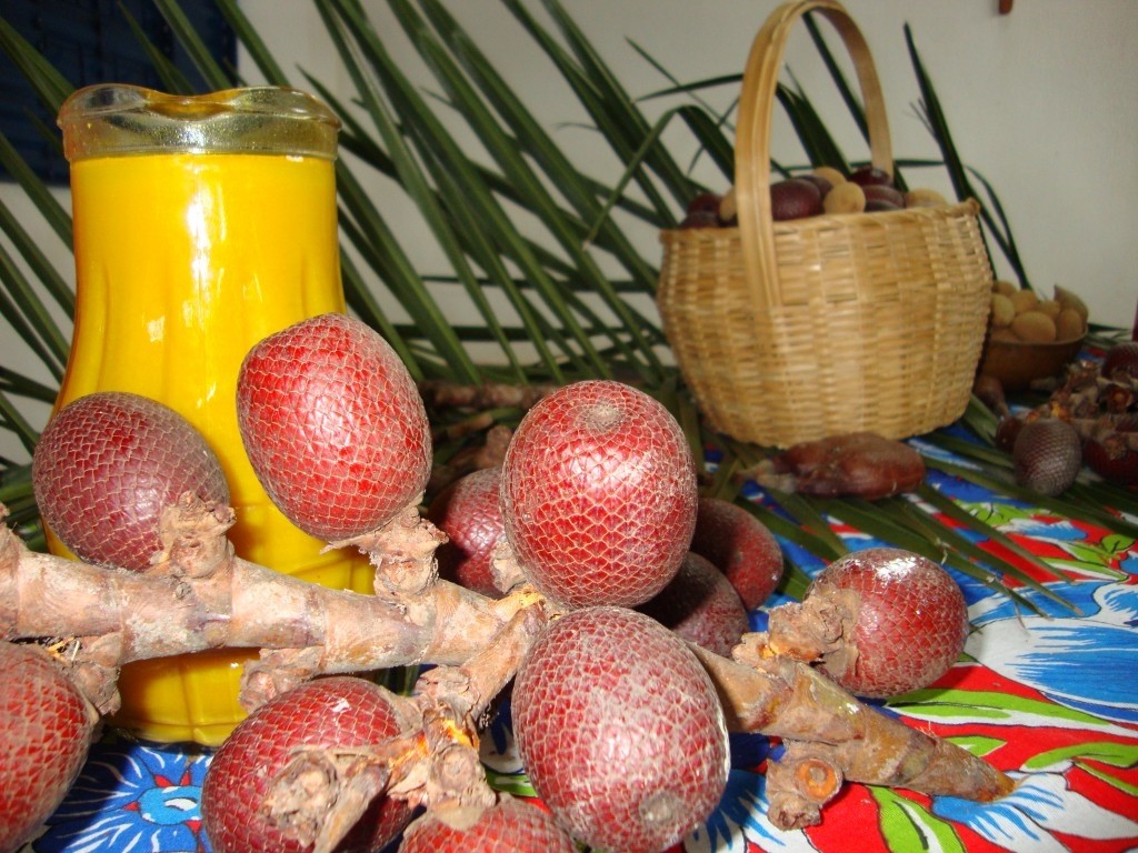 beneficios do suco de buriti