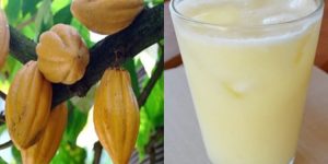 beneficios do suco de cacau