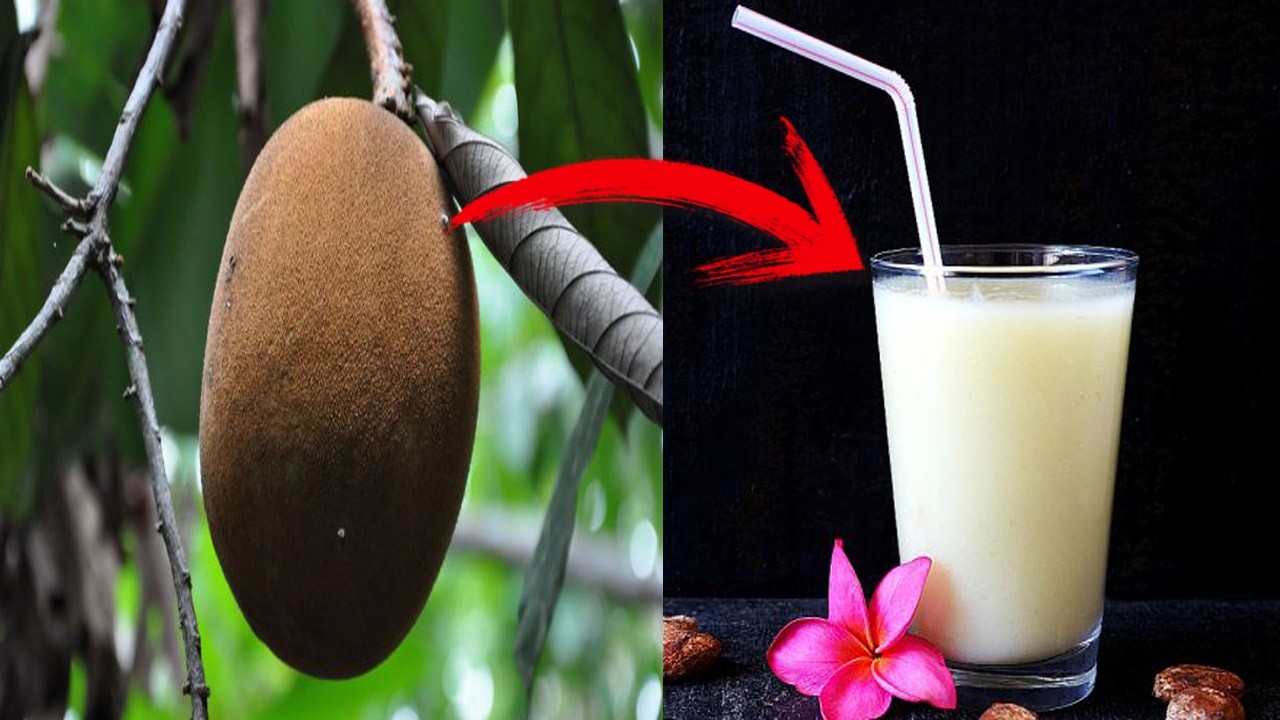 beneficios do suco de cupuaçu