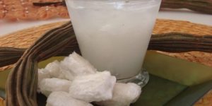 beneficios do suco de inga