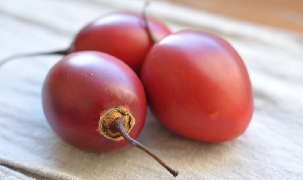 Tomate arbóreo é bom para olhos e pele: veja os seus benefícios