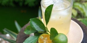 beneficios do suco de calamansi