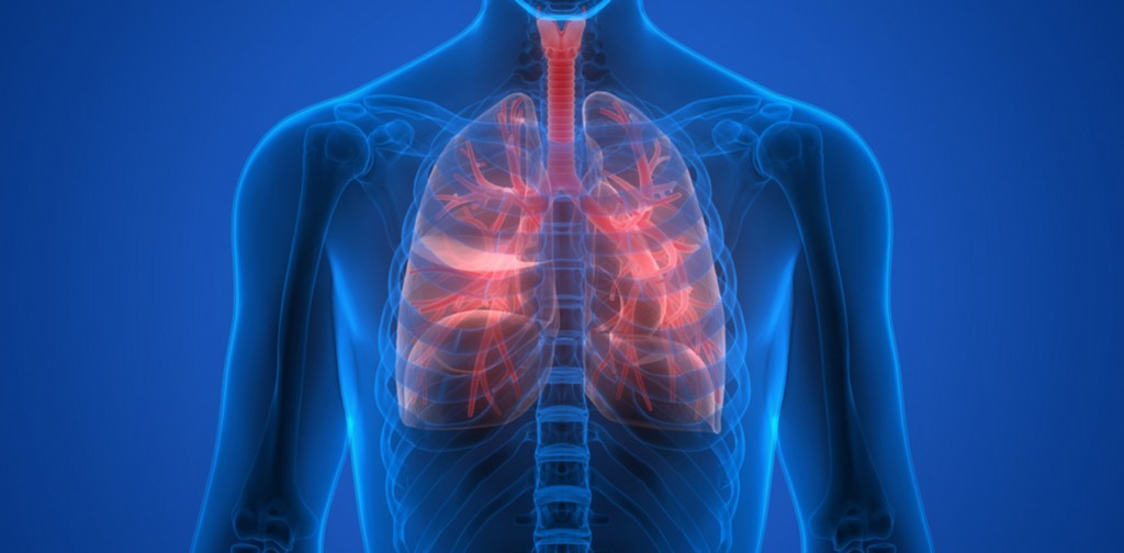 Fibrose cística: o que é, causas, sintomas e tratamentos