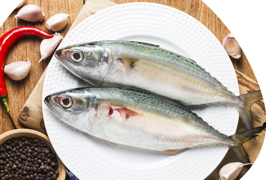 6 Tipos de Peixe que auxiliam na Perda de Peso