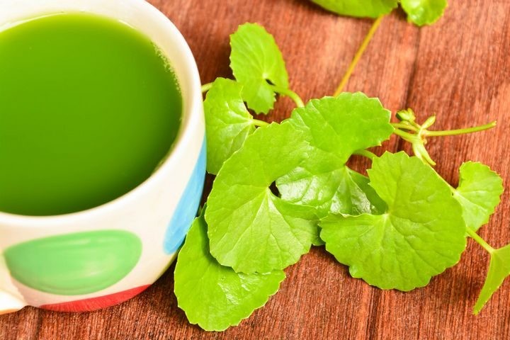 Chá de Centella Asiática ajuda a emagrecer: veja 15 benefícios