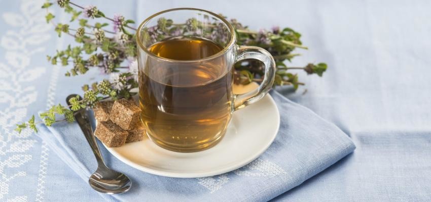 Chá de Poejo alivia cólicas menstruais: veja 6 benefícios